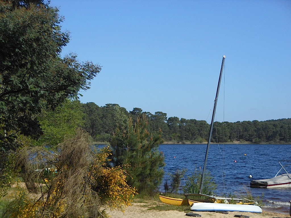 TERRAIN A VENDRE A LACANAU LAC Longarisse Land for sale lacanau