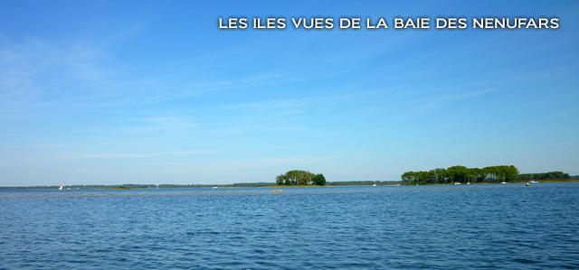 Les iles du Lac de Lacanau