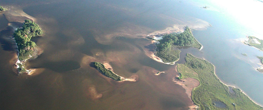 les iles du lac de lacanau face a longarisse 