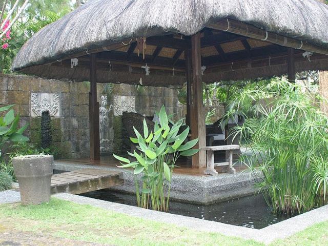 piscine et jardin tropical